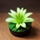 新手引导编辑Lily，专注踩蘑菇零基础玩家培训与教程制作
