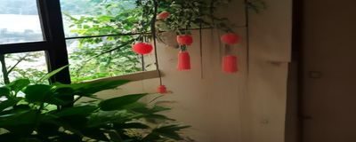 踩蘑菇变速移动蘑菇场景，蘑菇运动轨迹变化多端，玩家需要预判轨迹后起跳